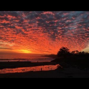 Meet your Posher, Brett